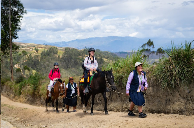 Finca Don Pepito