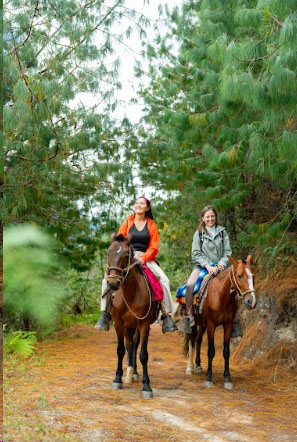 Paseo en canoa