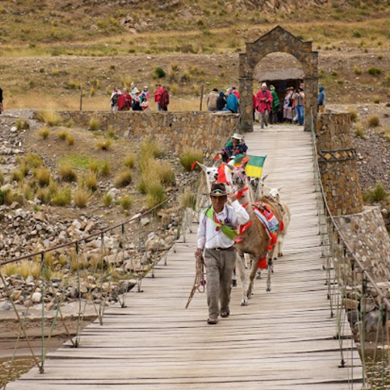 Imagen 5