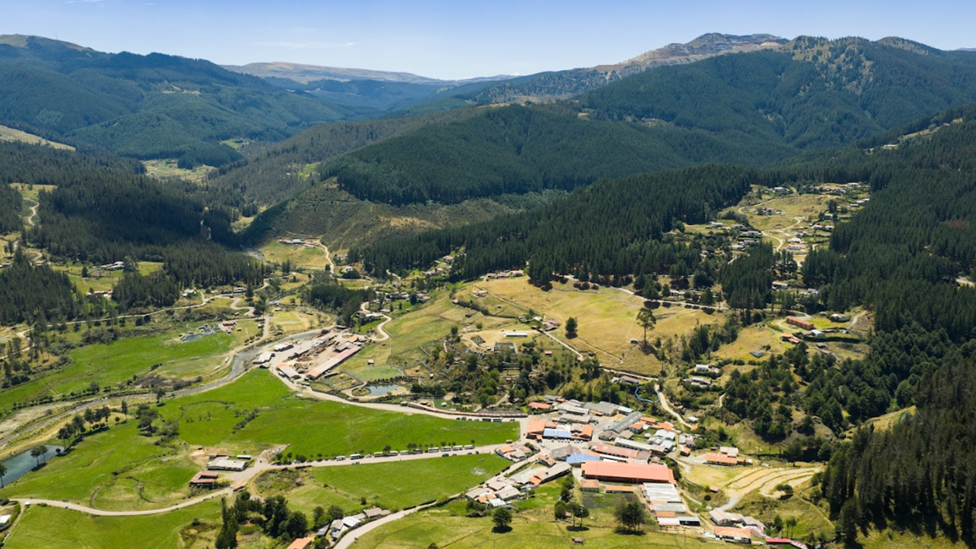 Imagen 4