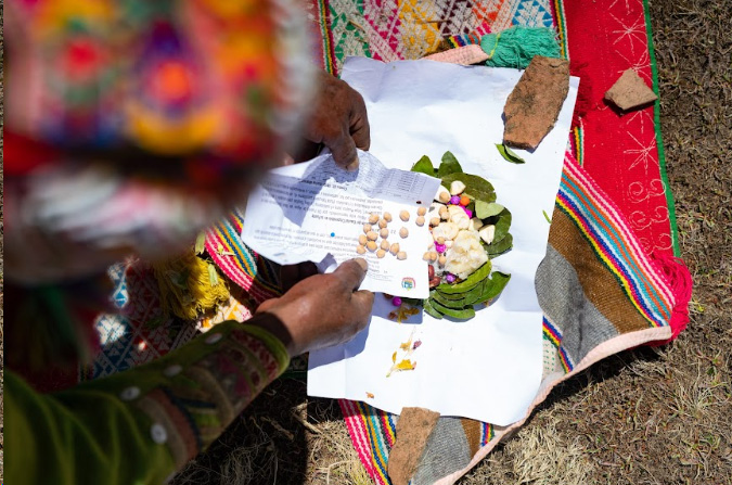 Paseo en canoa