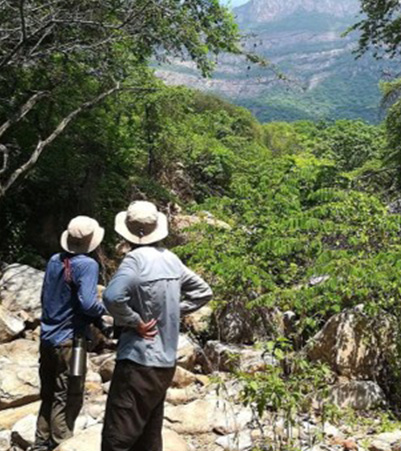 Finca Don Pepito