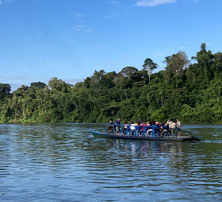 Pesca artesanal
