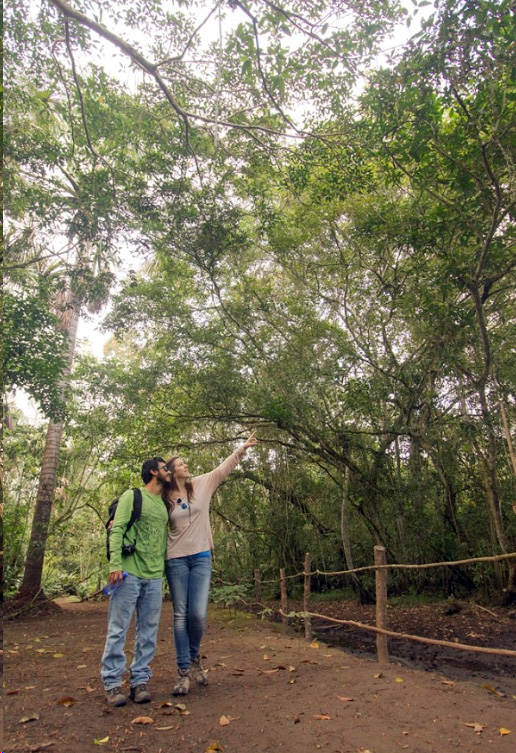 Finca Don Pepito