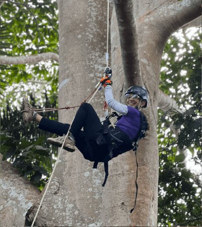 Escalada en árbol